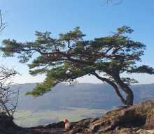 Wanderung "Ein Hauch von Geschichte"